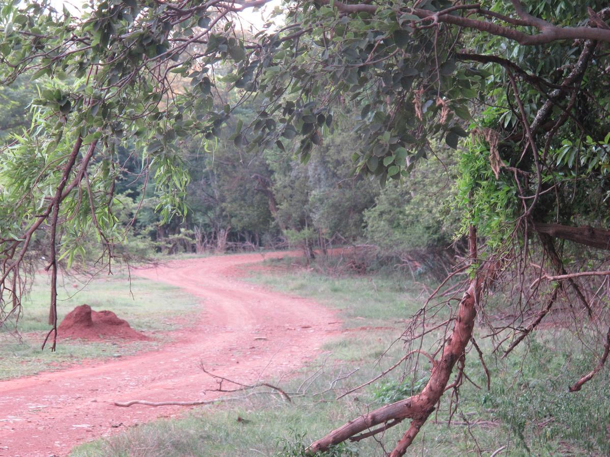 Harties Is Africa Safari Lodge Kosmos 외부 사진