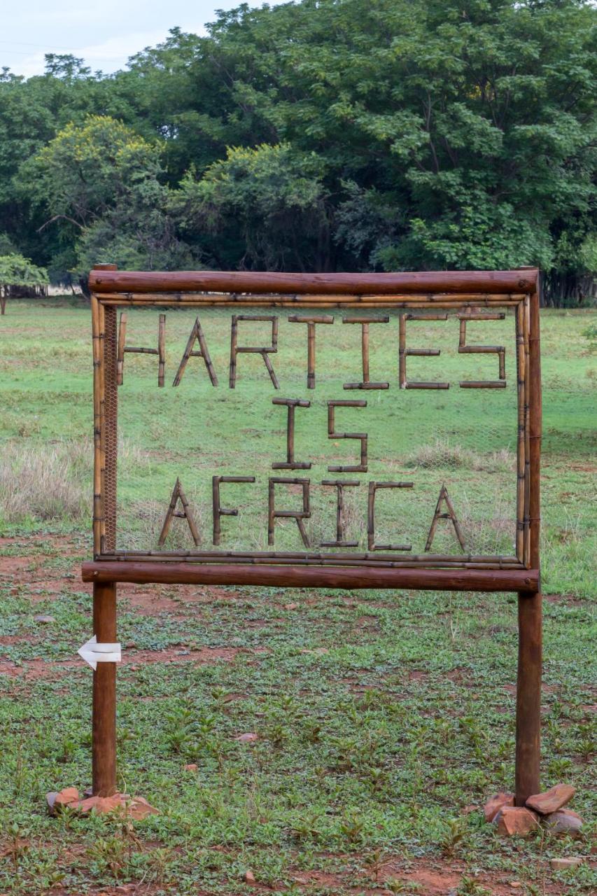 Harties Is Africa Safari Lodge Kosmos 외부 사진