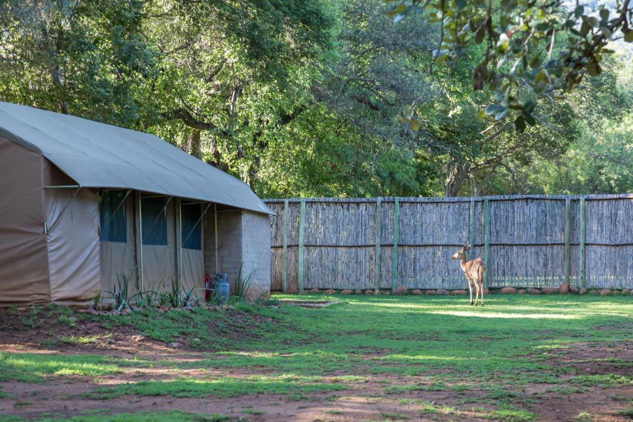 Harties Is Africa Safari Lodge Kosmos 외부 사진