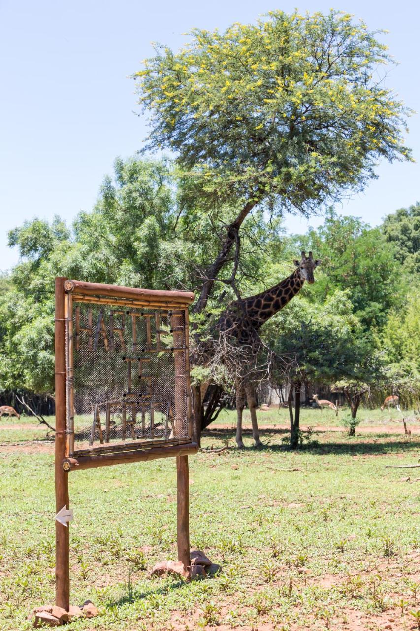 Harties Is Africa Safari Lodge Kosmos 외부 사진